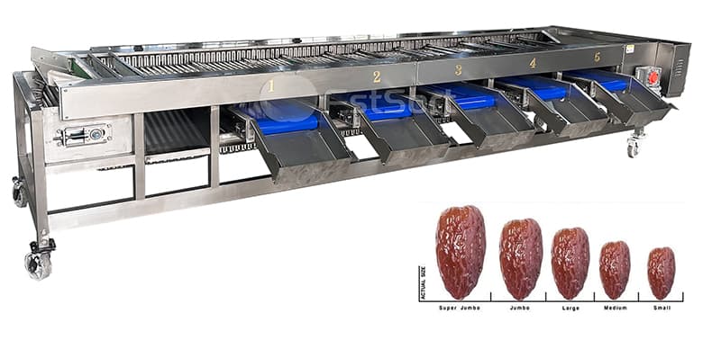 date sorting line.jpg